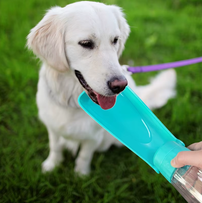 Botella de agua para perros: hidratación fácil, en cualquier momento y lugar.